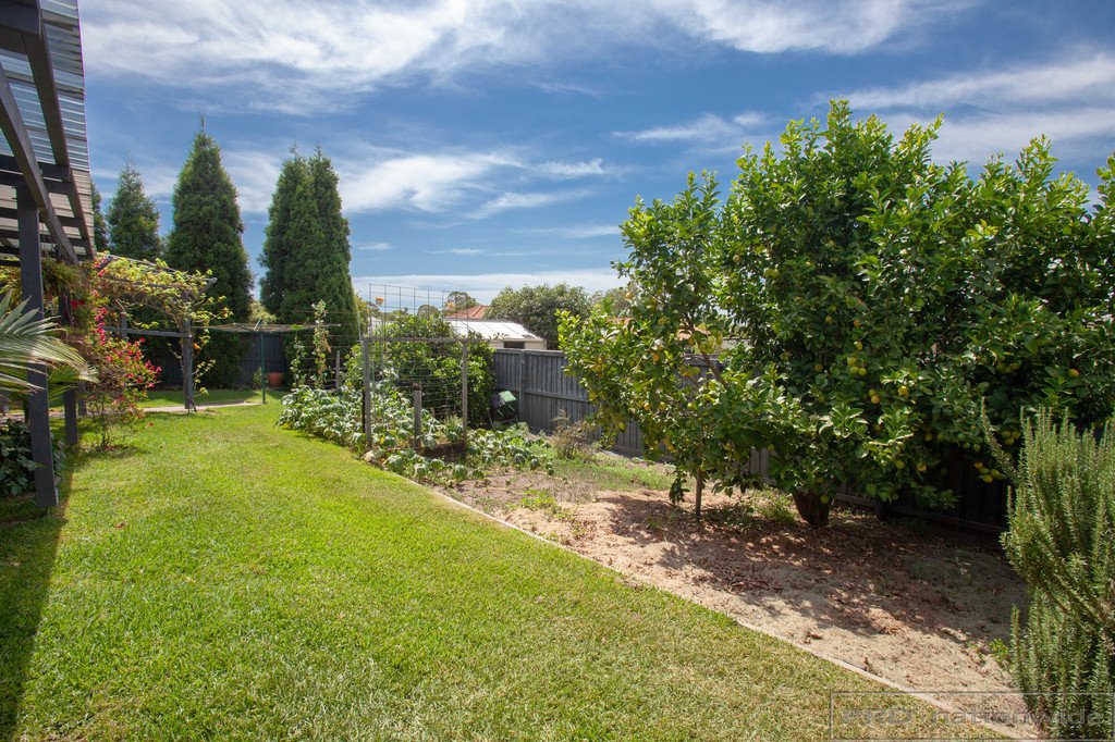 1 Hunterglen Drive BOLWARRA HEIGHTS 24