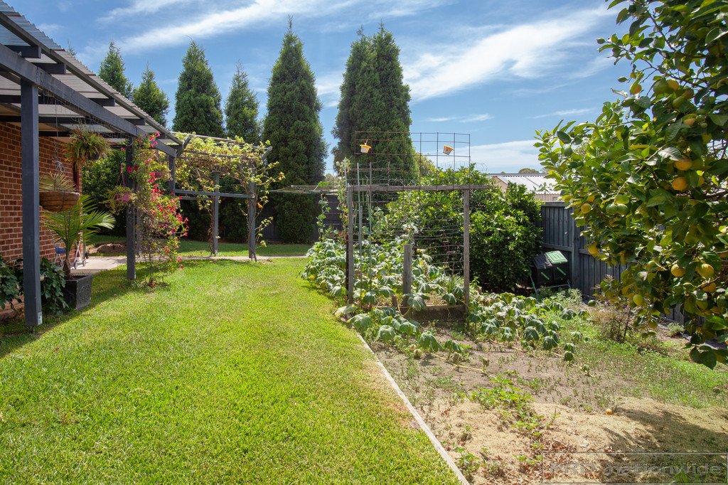 1 Hunterglen Drive BOLWARRA HEIGHTS 25