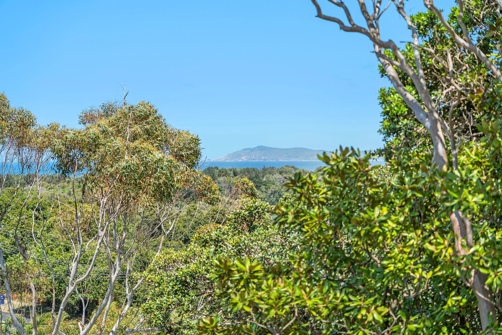 1 Idant Street CAMDEN HEAD 7