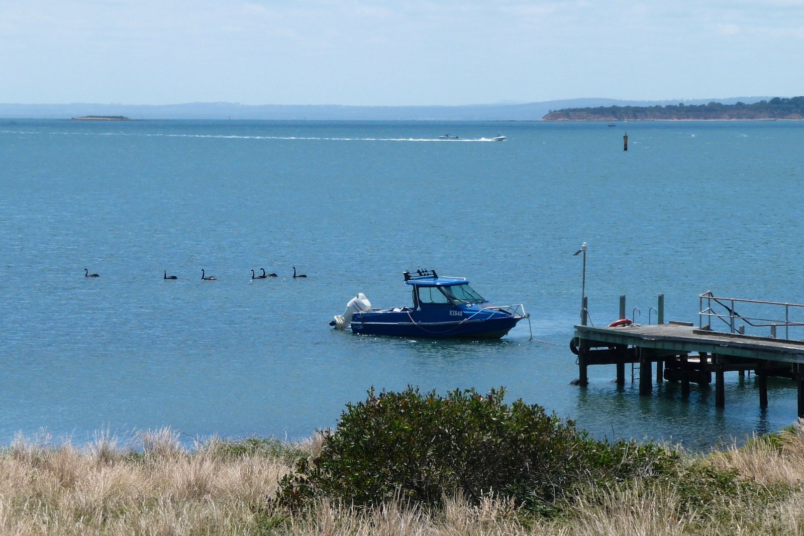 Real Estate and Property in 1 Jetty Track, Elizabeth Island, VIC