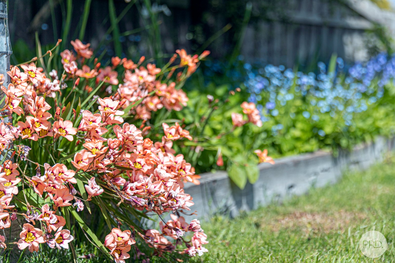 1 Joseph Court ALFREDTON 20