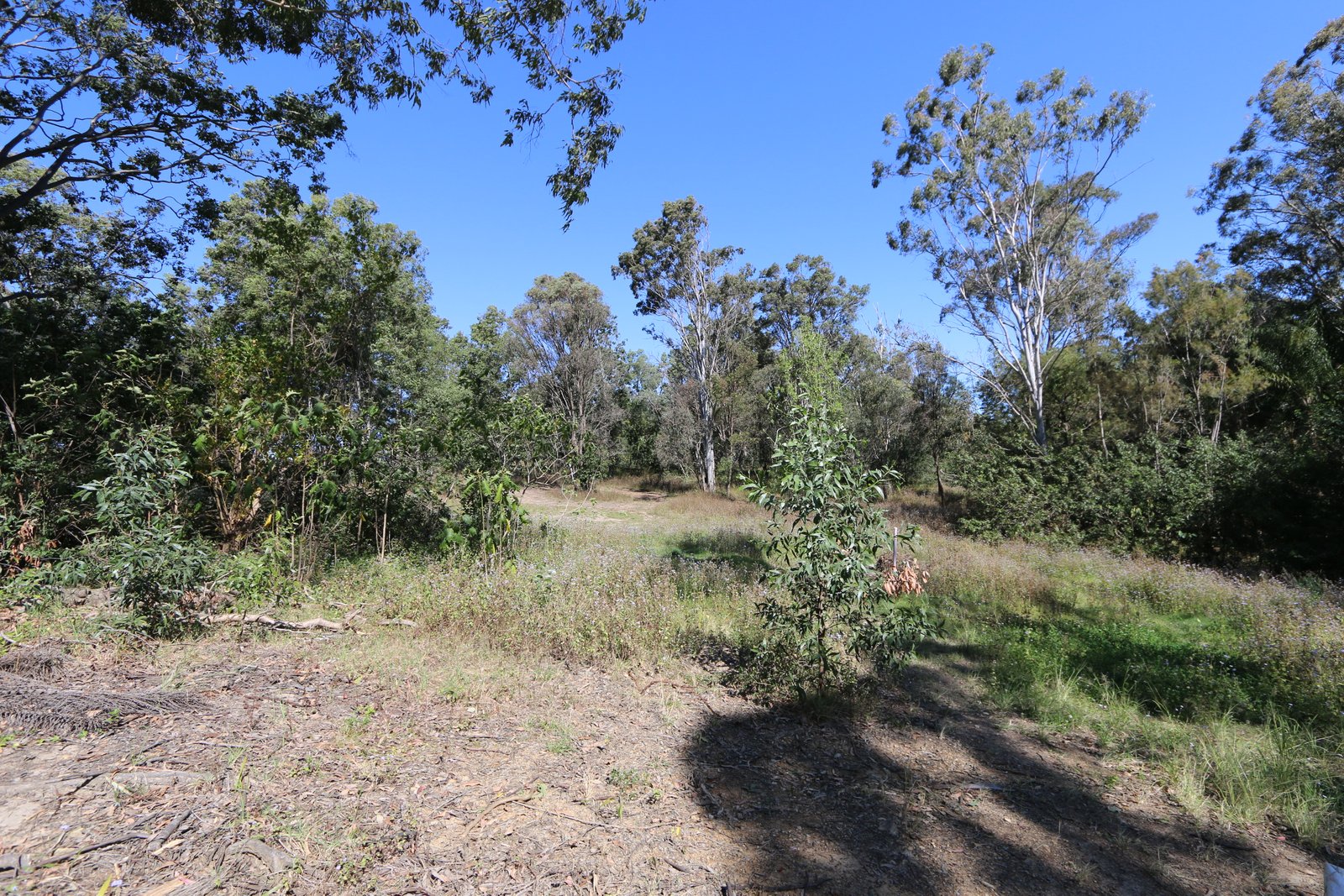1 Keen Road MOLENDINAR 18