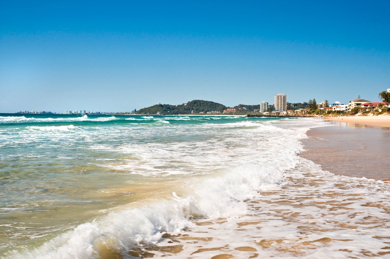 1 Ling Place PALM BEACH 18