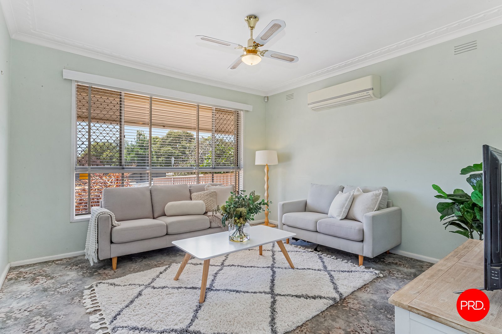 1 Lyons Street WHITE HILLS 3