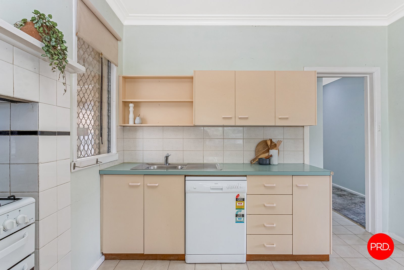 1 Lyons Street WHITE HILLS 9