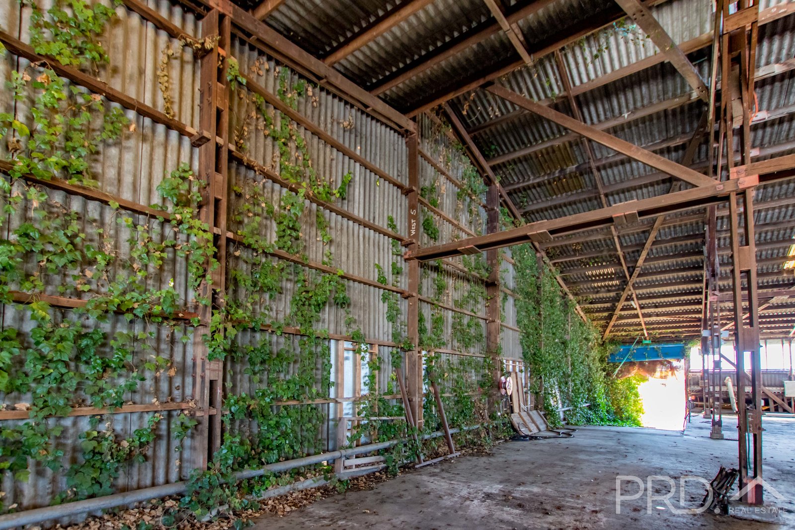 1 Memorial Avenue BATLOW 12