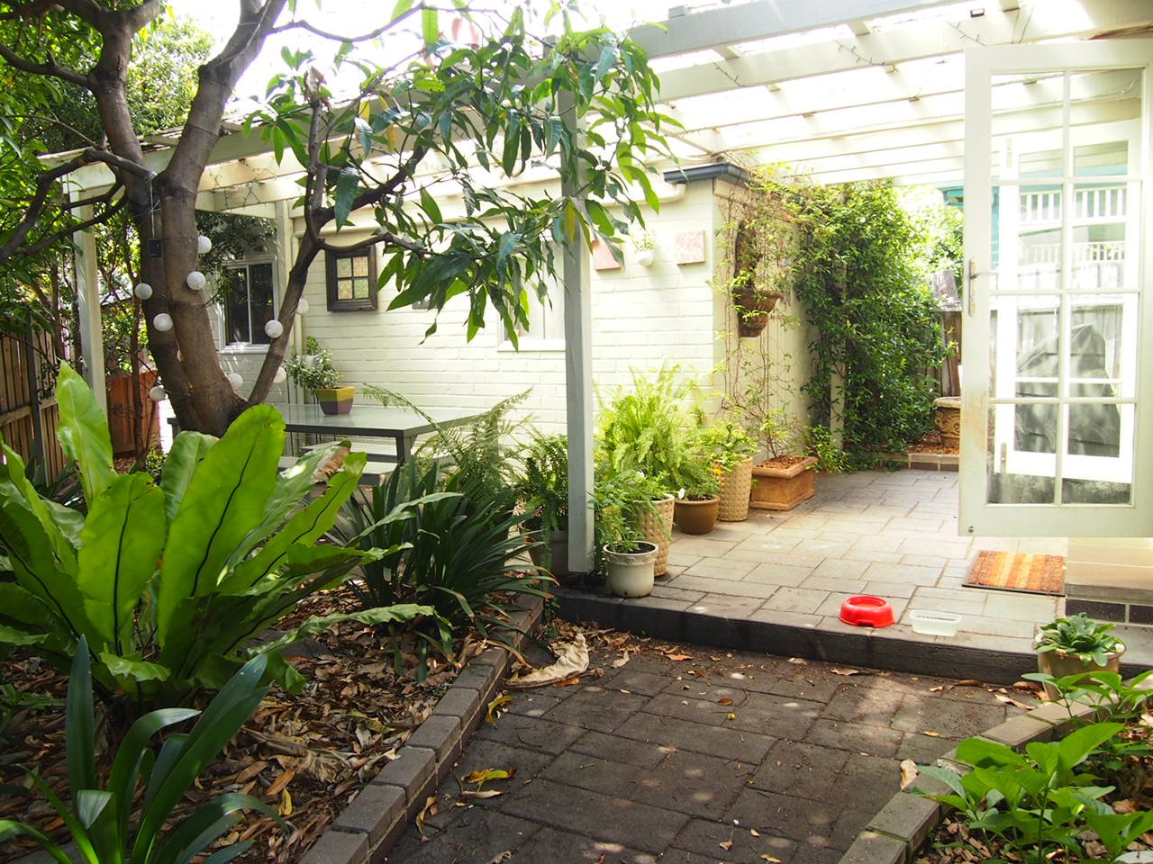 1 Mi Mi Street OATLEY 6