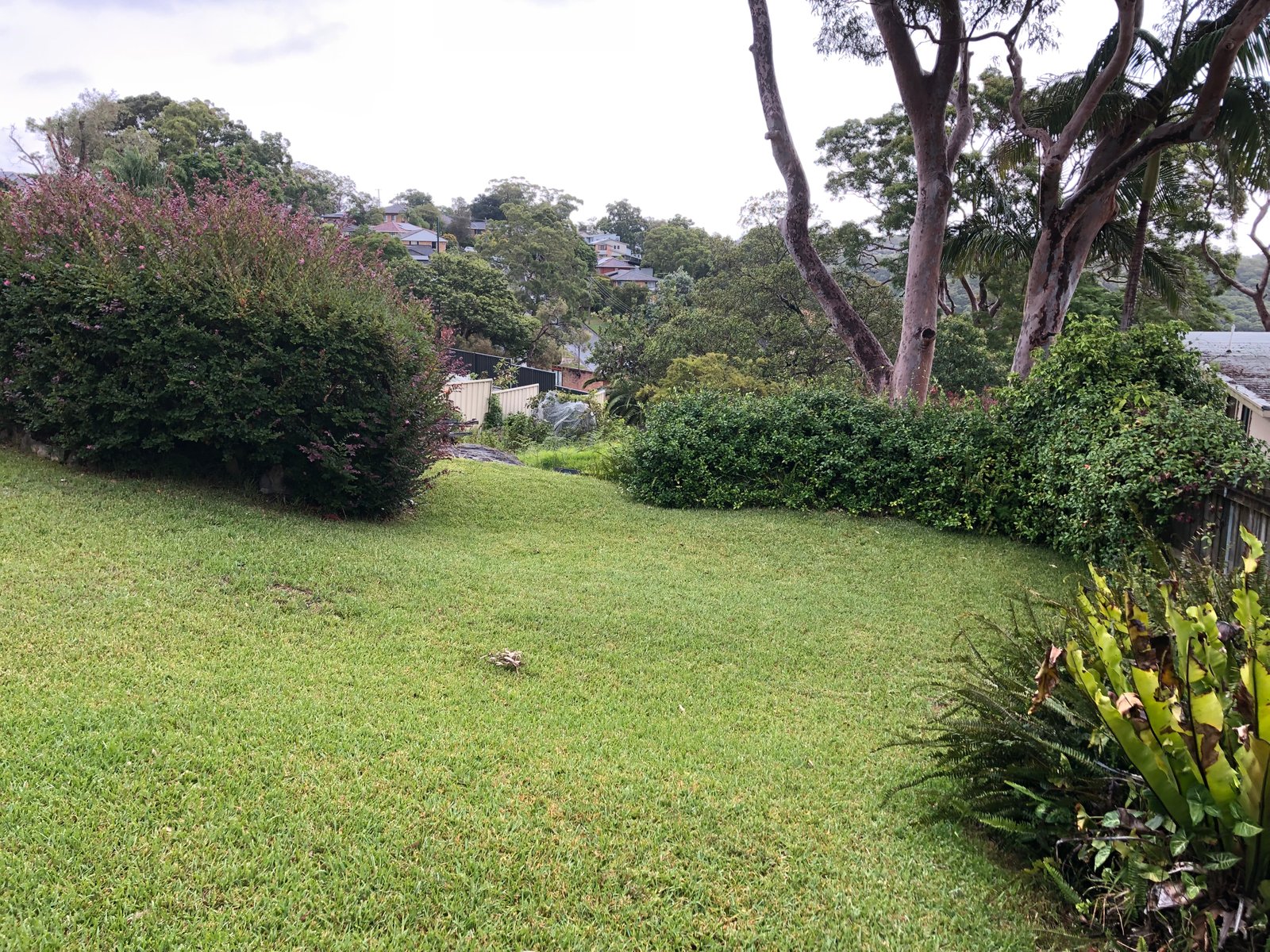 1 Moons Avenue LUGARNO 4