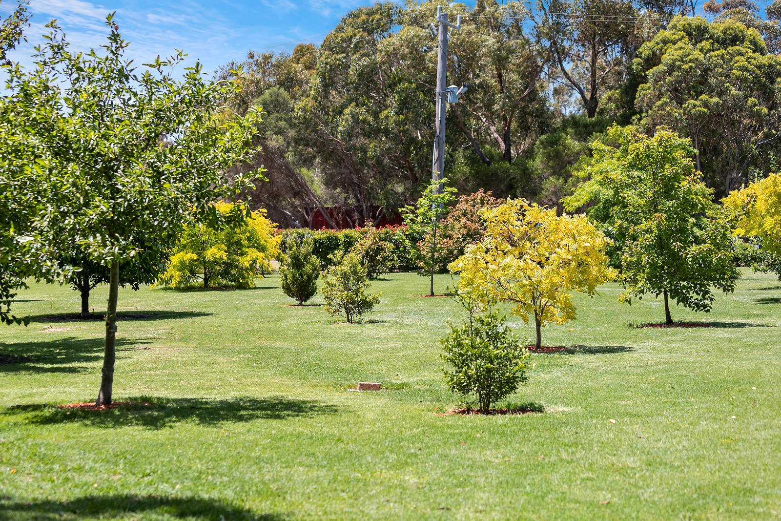 Real Estate and Property in 1 Moorookyle Crescent, Wallington, VIC