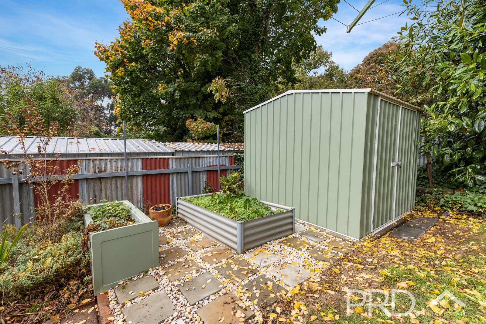 1 Nellis Street BATLOW 17