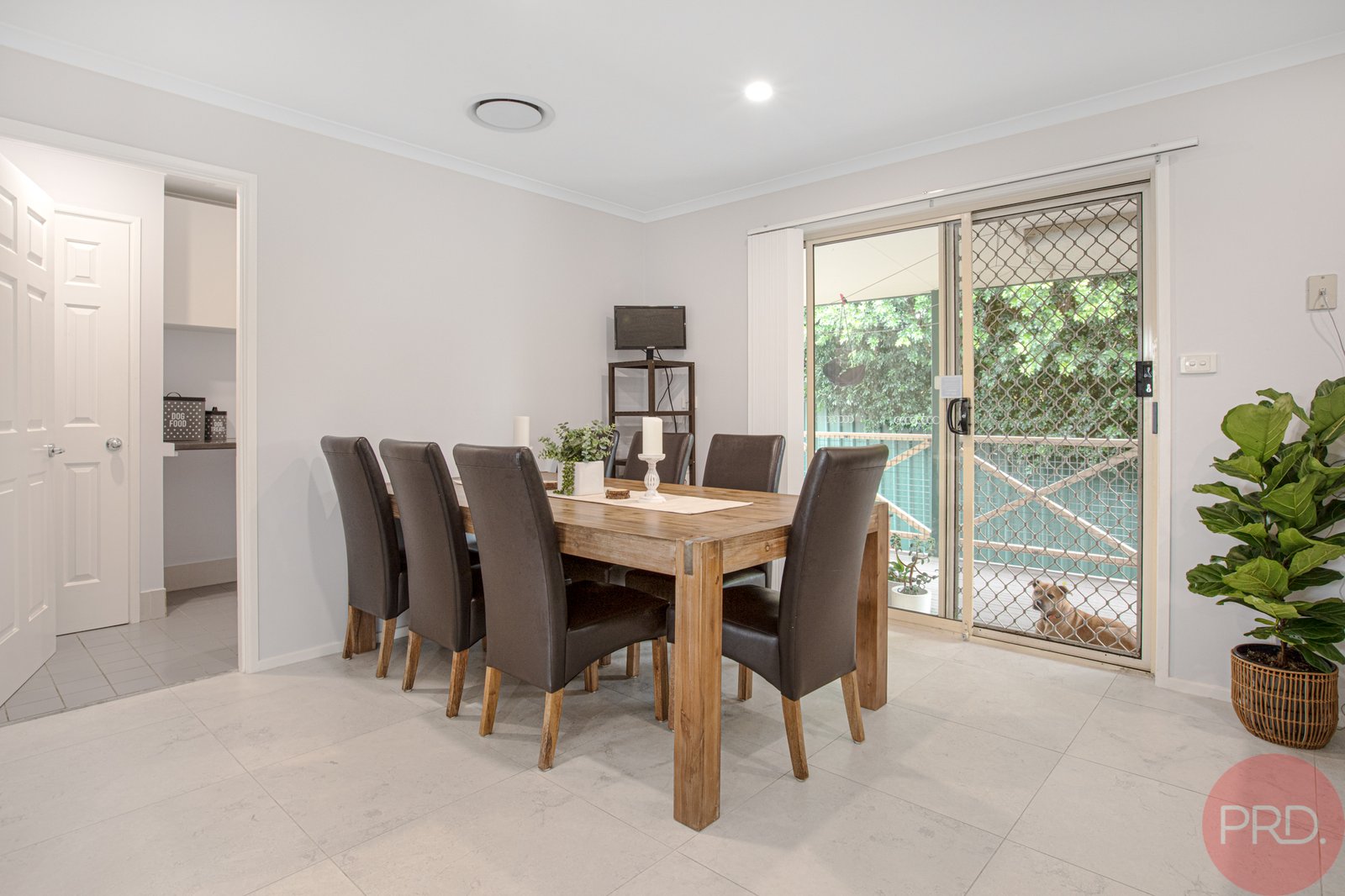 1 Nicolena Crescent RUTHERFORD 8