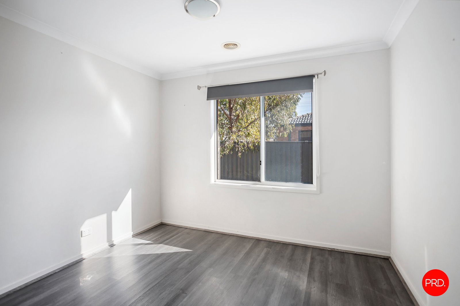 1 Pamela Avenue JACKASS FLAT 9