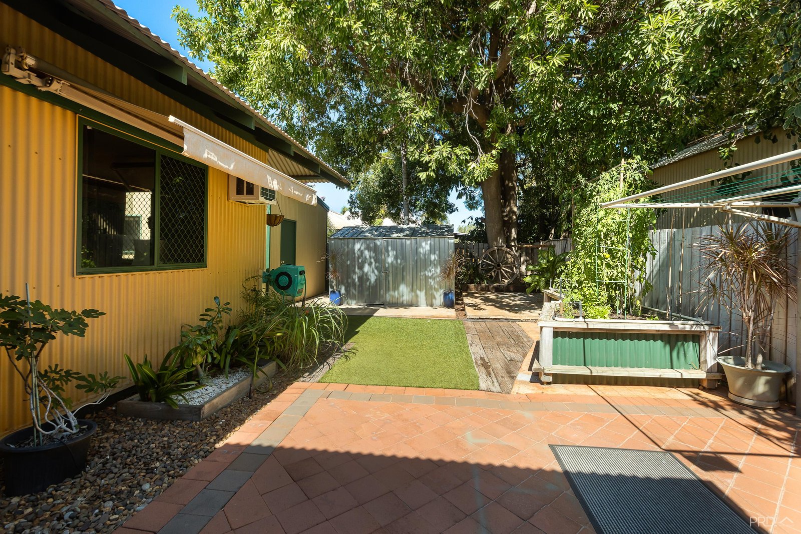 1 Pipit Loop DJUGUN 30