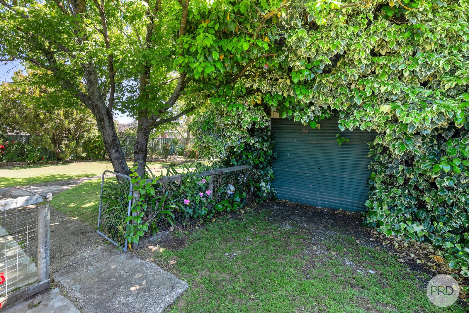 1 Reed Street CRESWICK 14