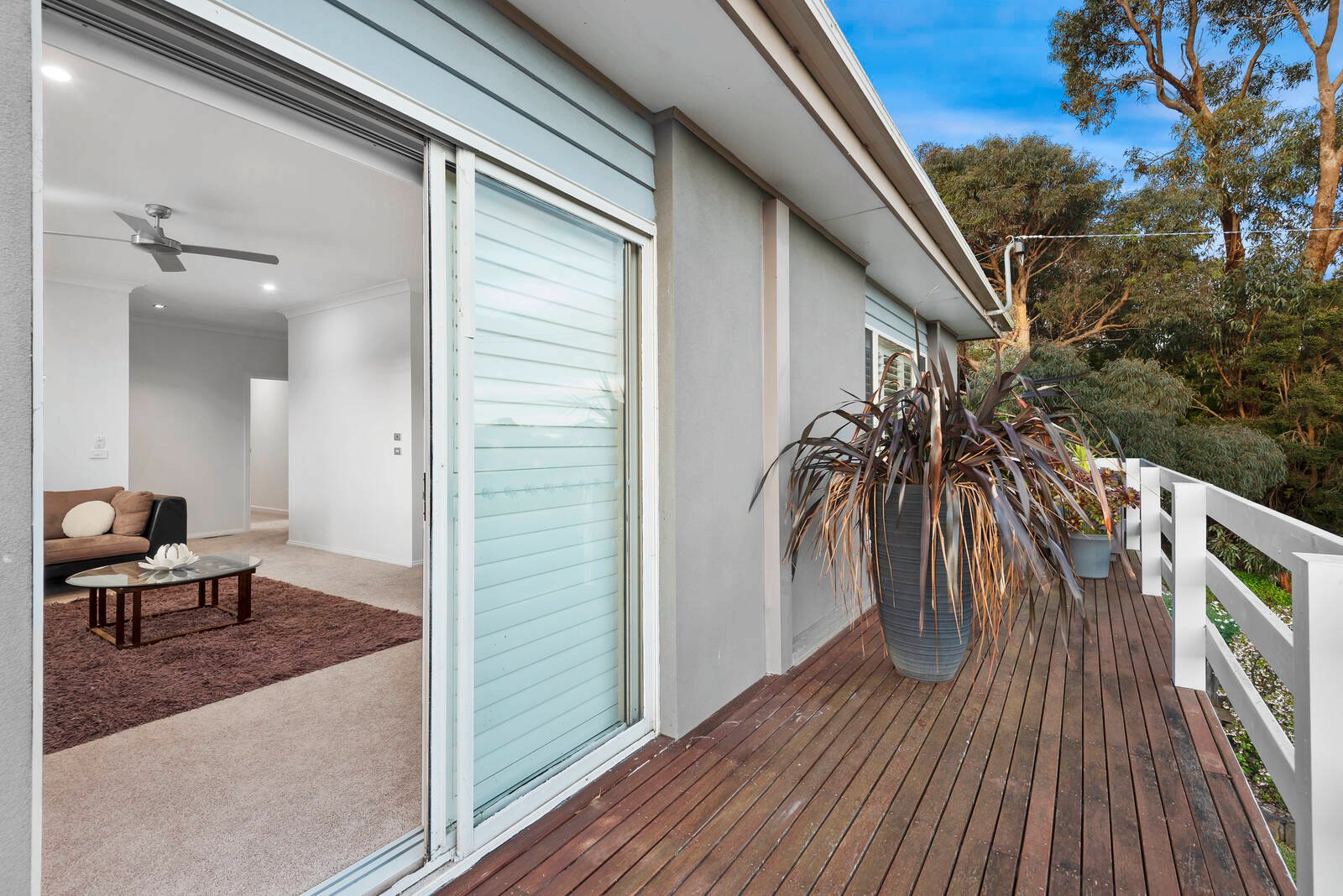 Real Estate and Property in 1 Richard Avenue, Ocean Grove, VIC