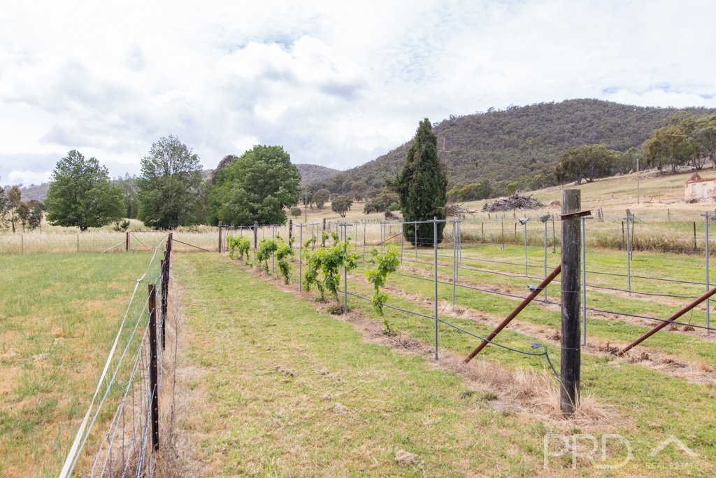 1 Rimmers Lane ADELONG 24