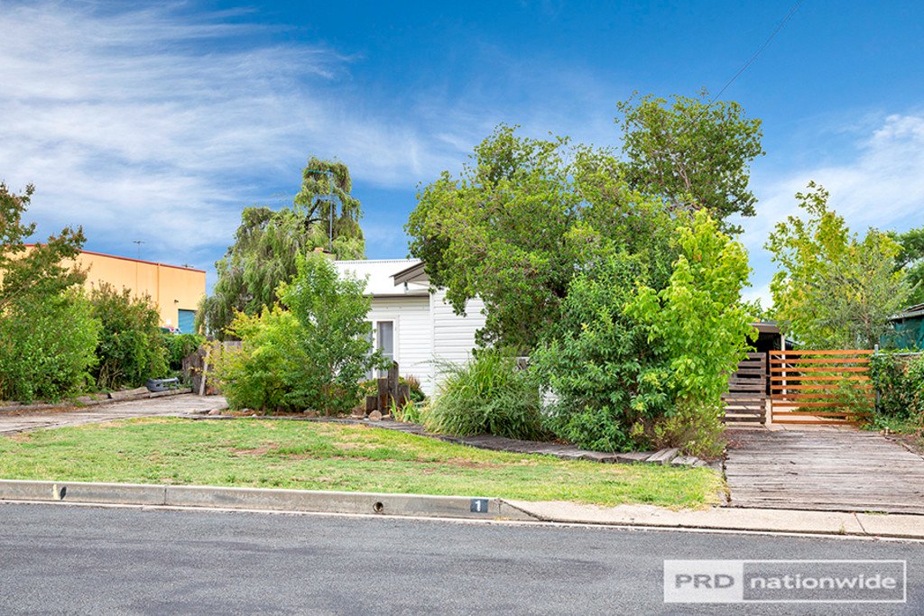 1 Robina Street TAMWORTH 1
