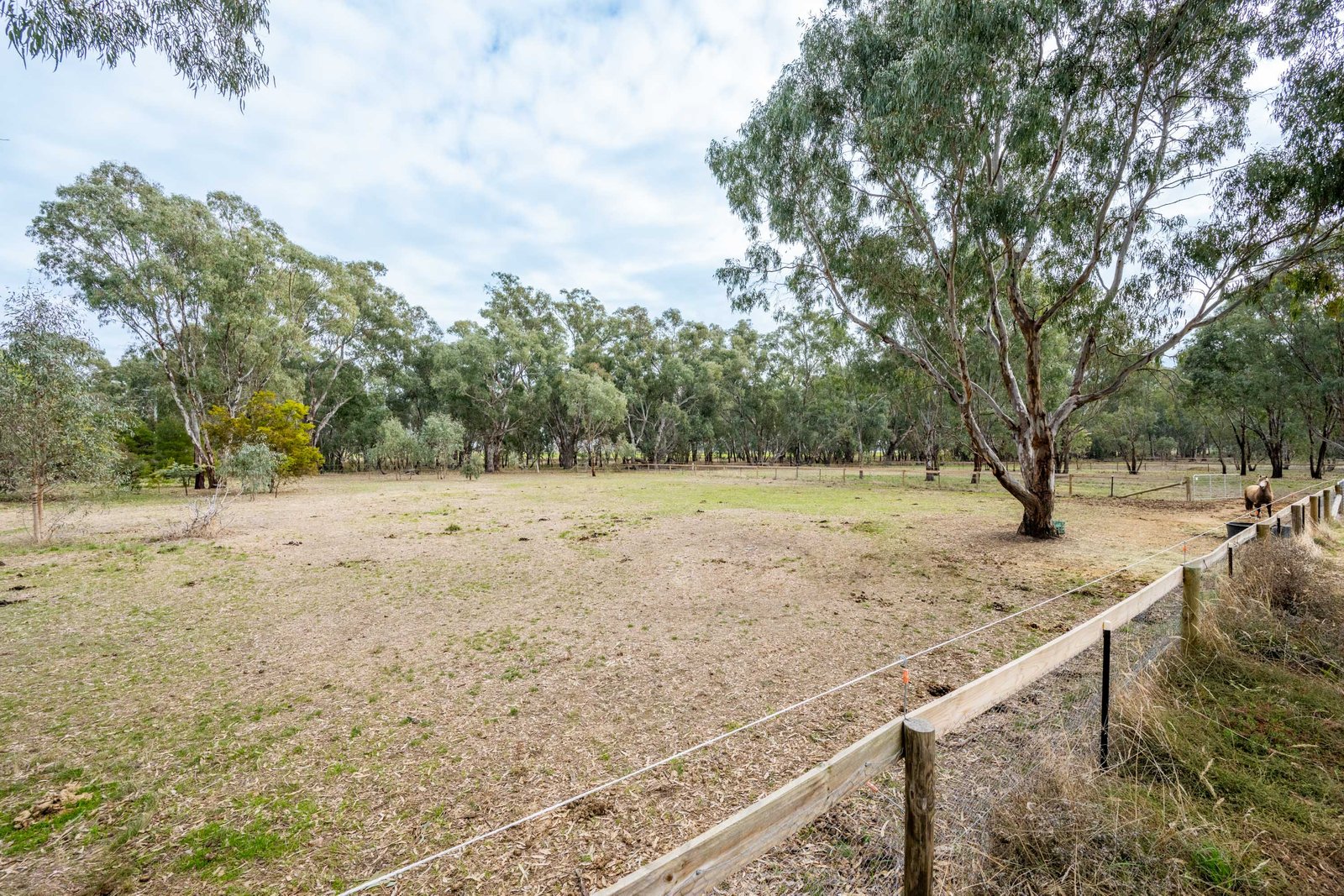 1 Sinclair Drive NUMURKAH 14