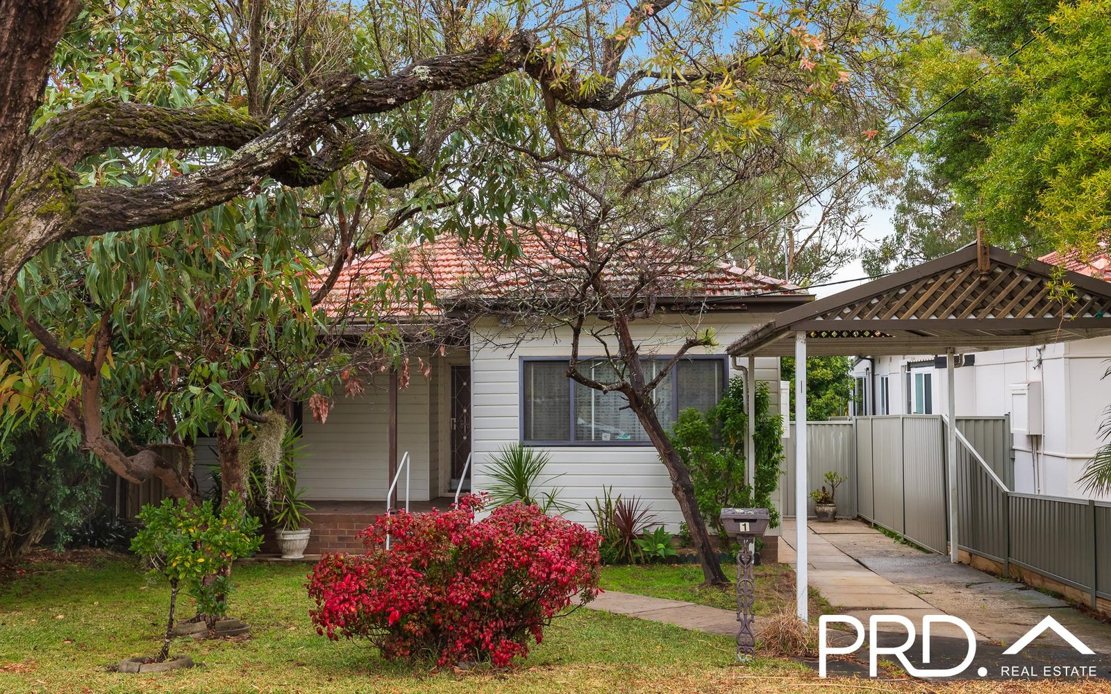 1 Singleton Avenue EAST HILLS 1
