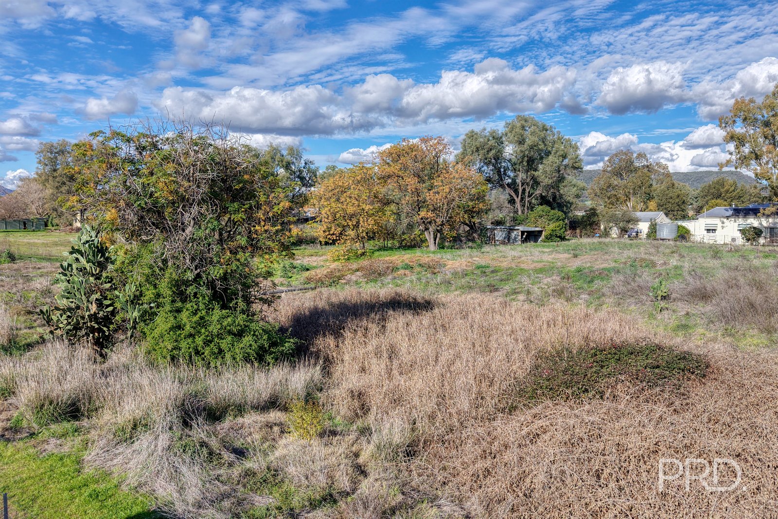1 Taylor Street QUIRINDI 3