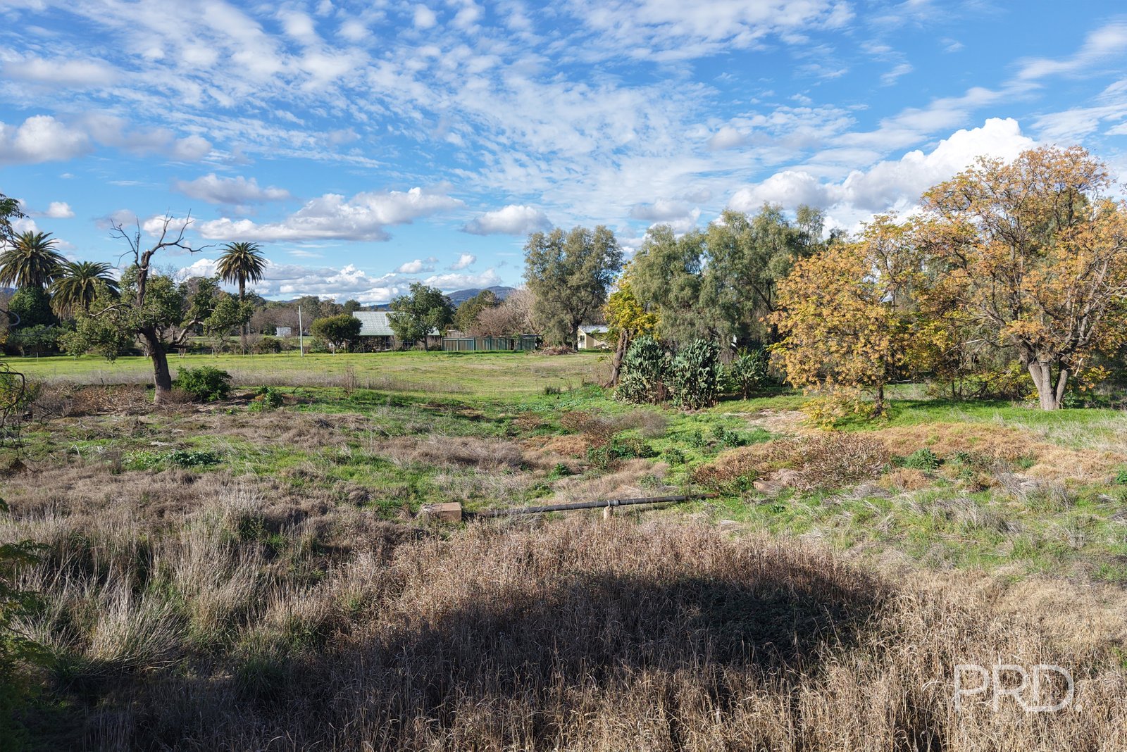 1 Taylor Street QUIRINDI 5