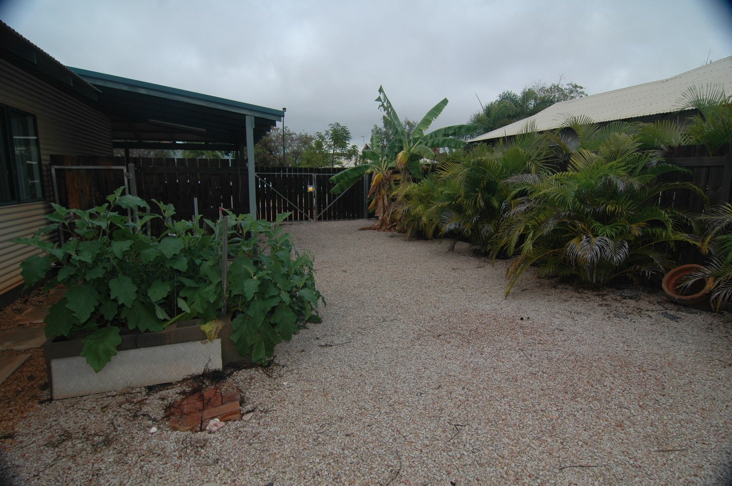 1 Wagtail Way DJUGUN 11