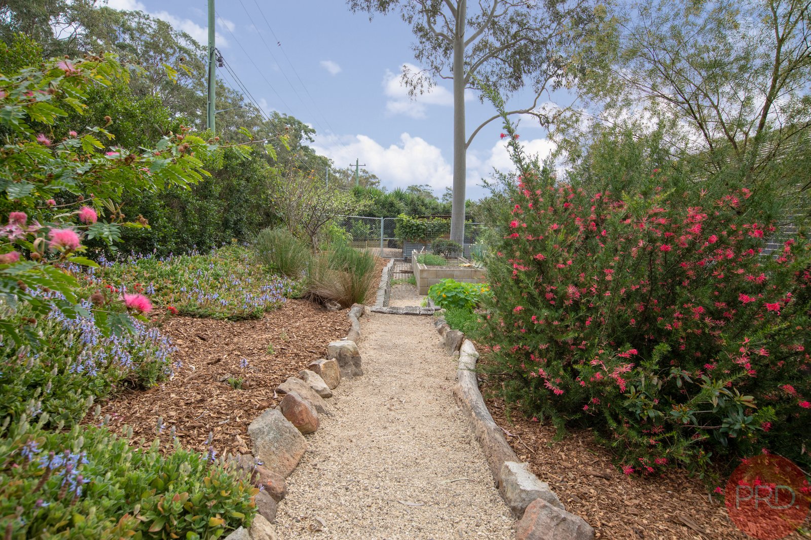 1 Watergum Street EAST MAITLAND 24