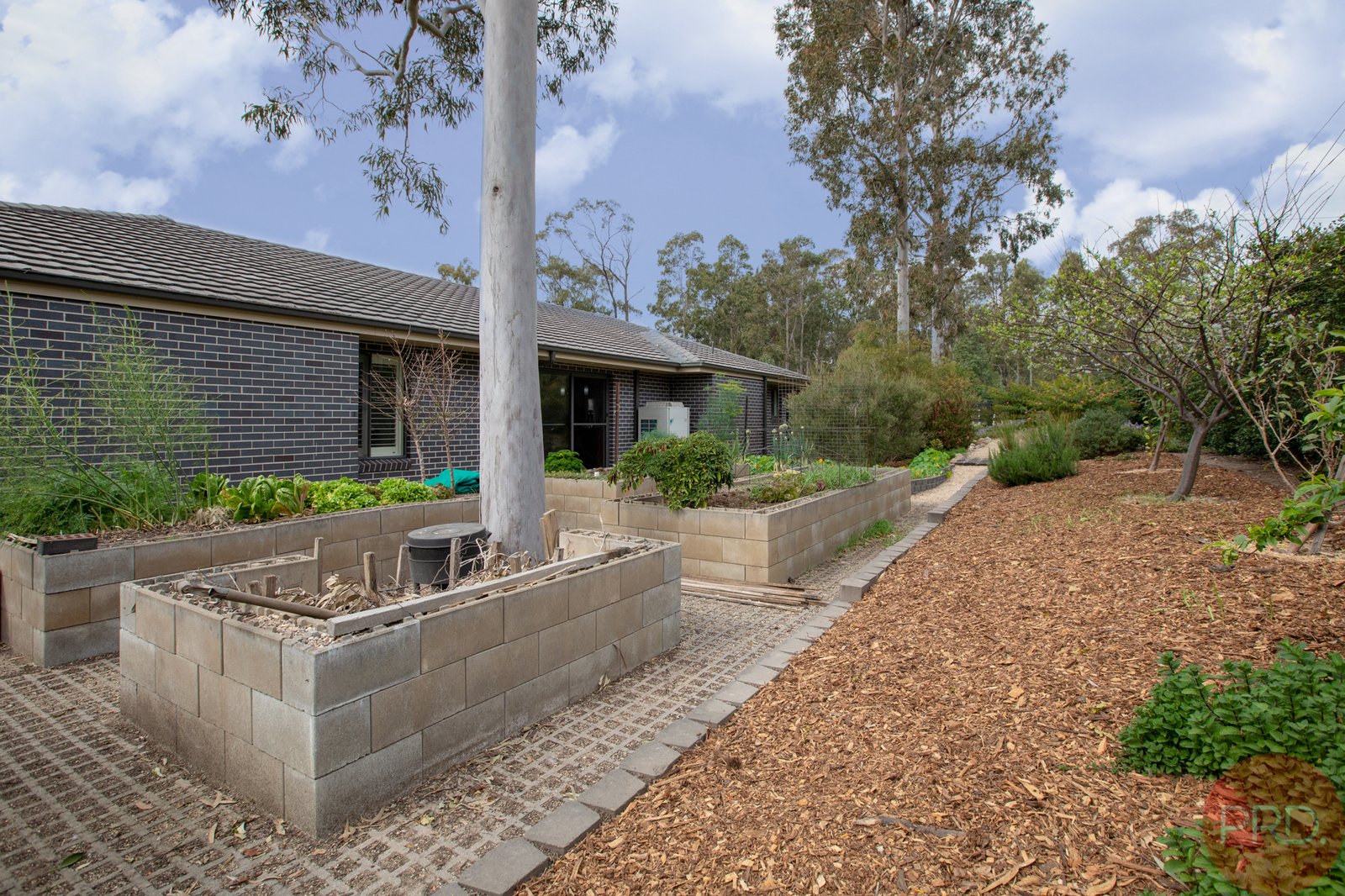 1 Watergum Street EAST MAITLAND 25