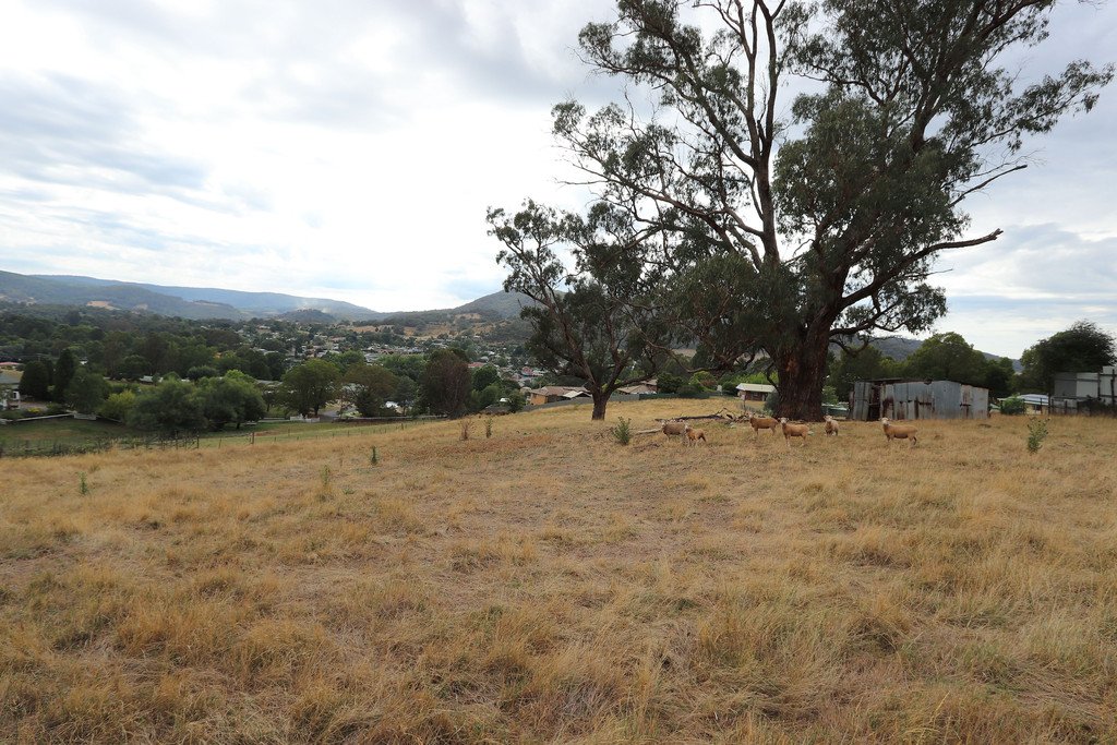 1 Wongal Street TUMBARUMBA 3