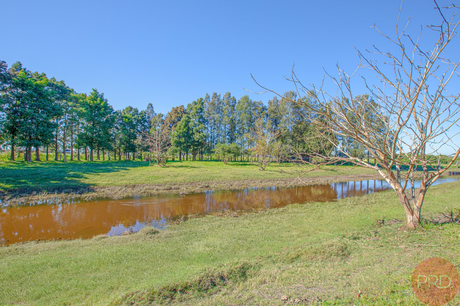 1 Woodberry Road MILLERS FOREST 31