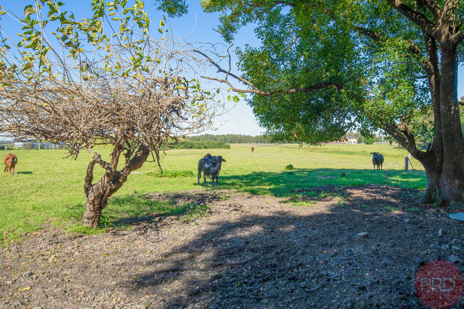 1 Woodberry Road MILLERS FOREST 33