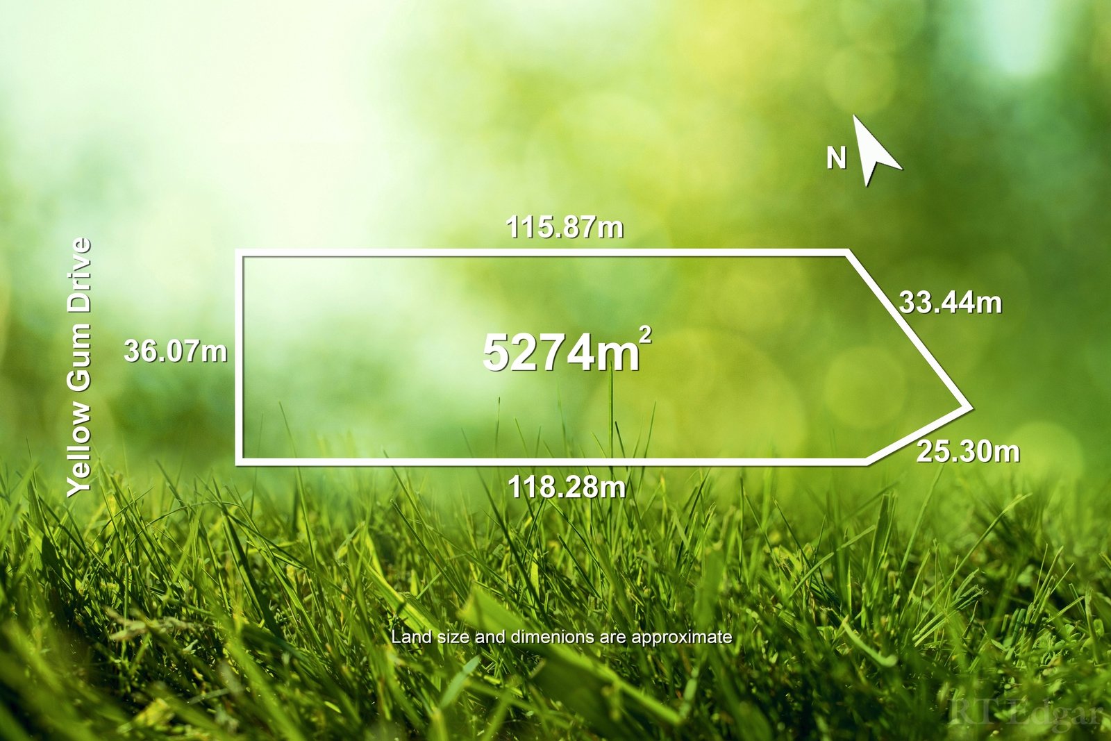 Real Estate and Property in 10-12 Yellow Gum Drive, Ocean Grove, VIC