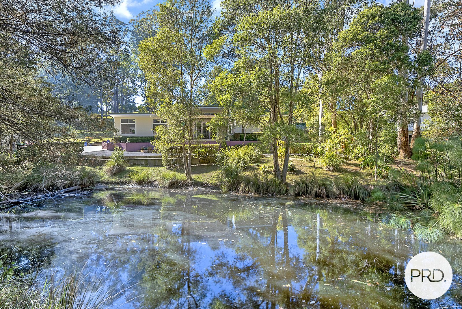 10 Albert Street KENDALL 3