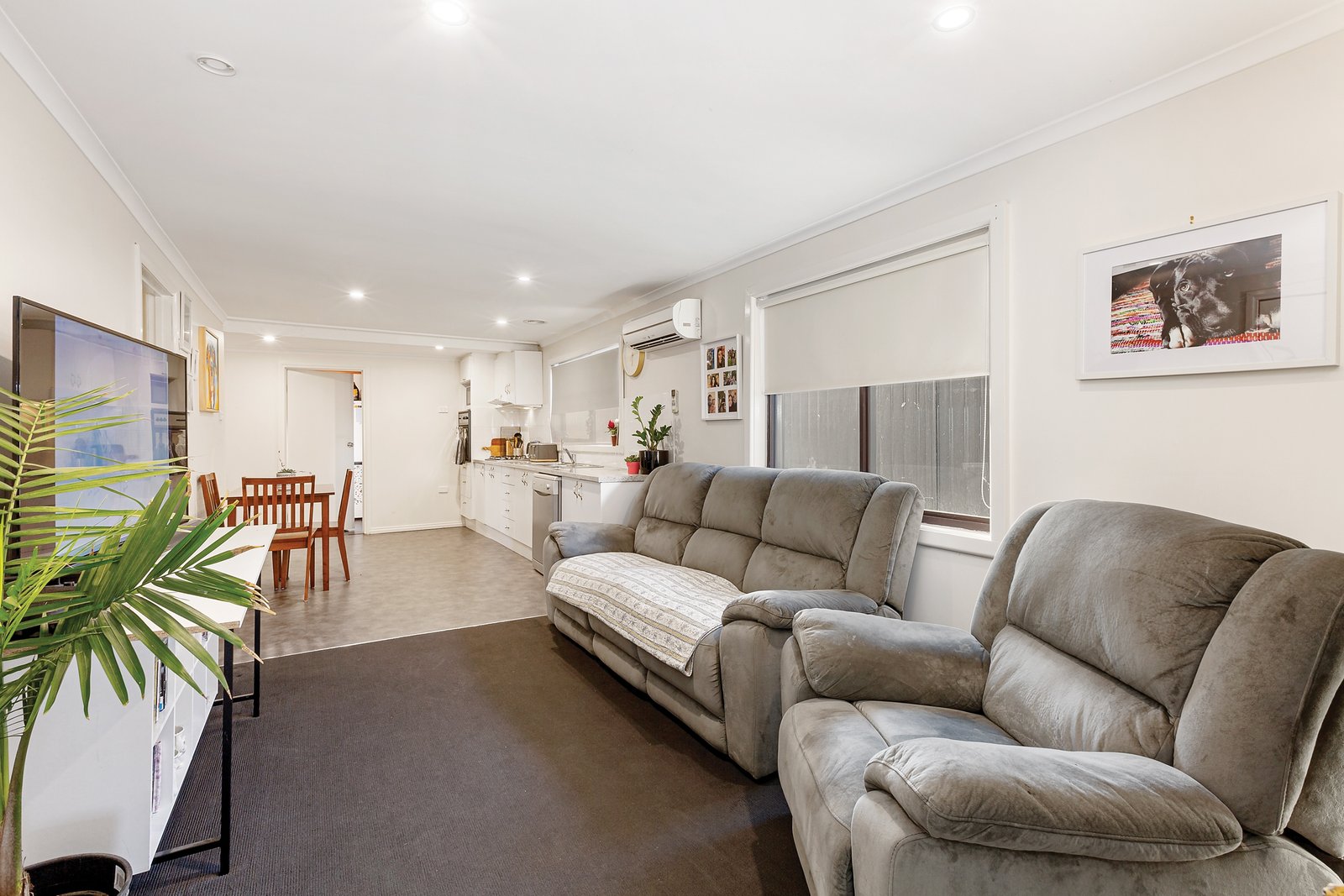 Gallery: 10 Albion Street