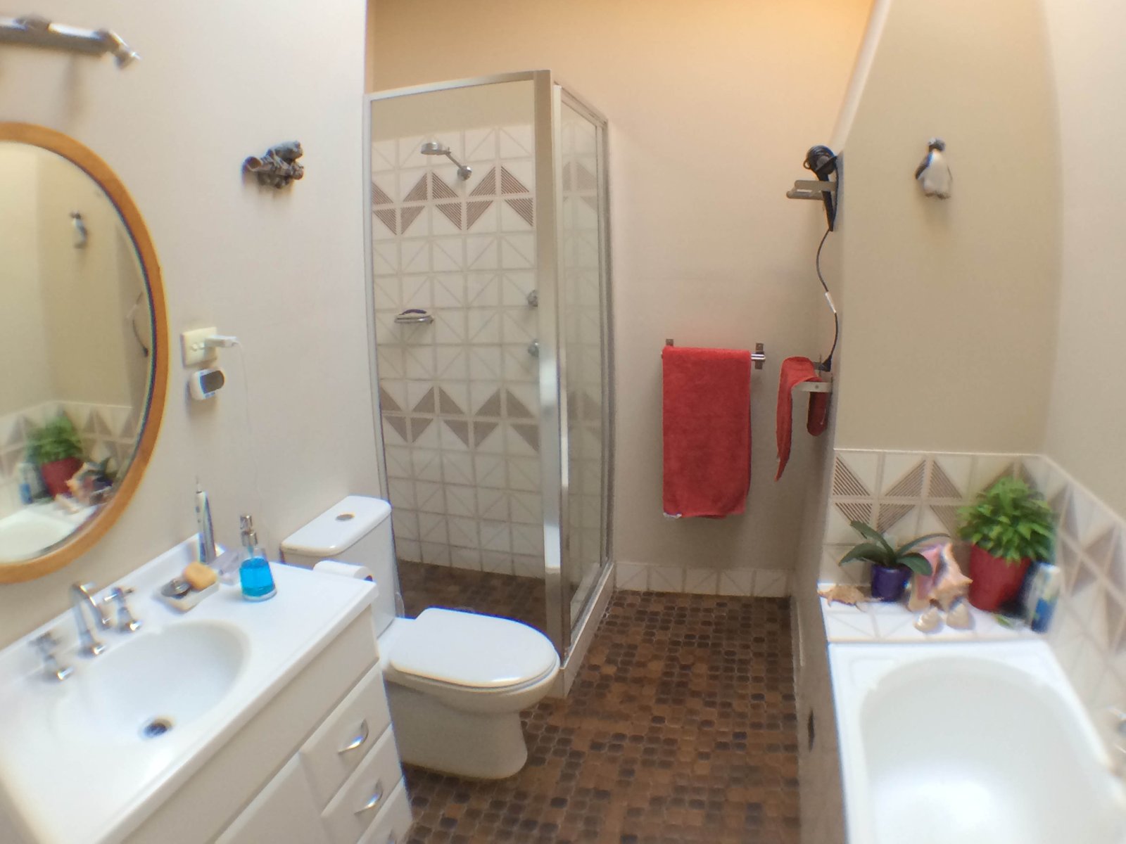 10 Blanche Street OATLEY 4