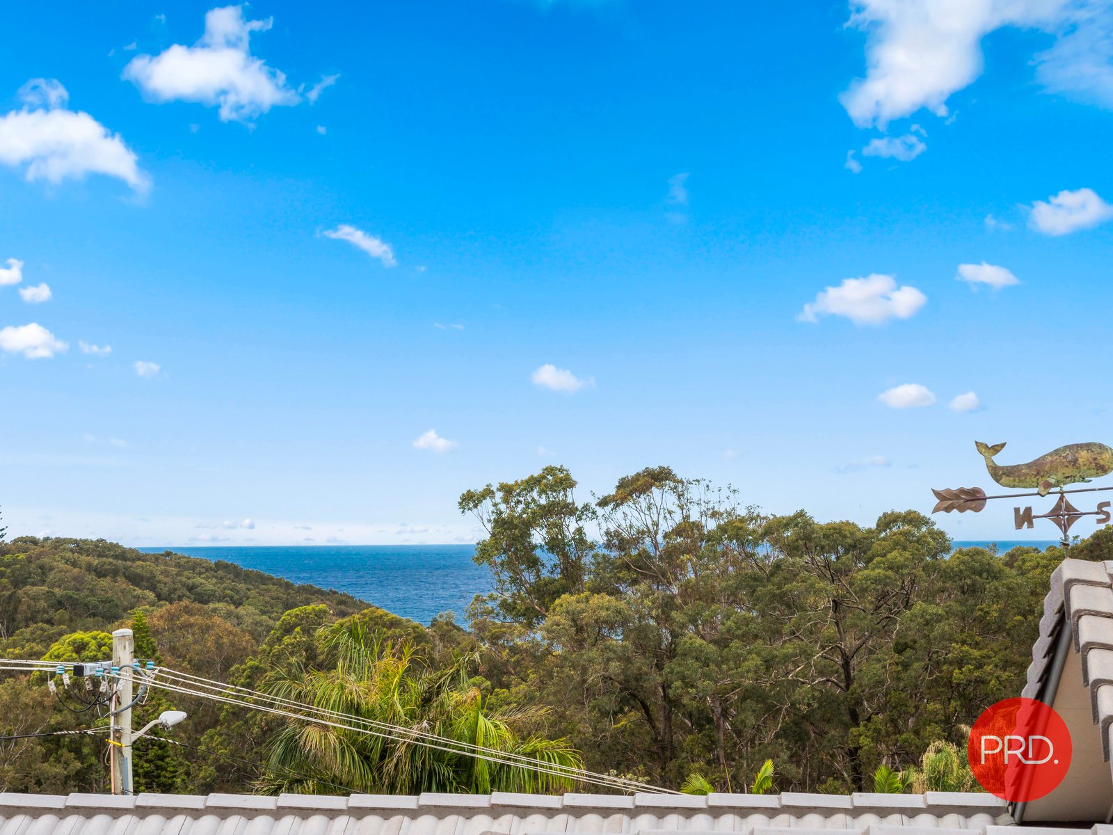 10 Campbell Street SAFETY BEACH 17