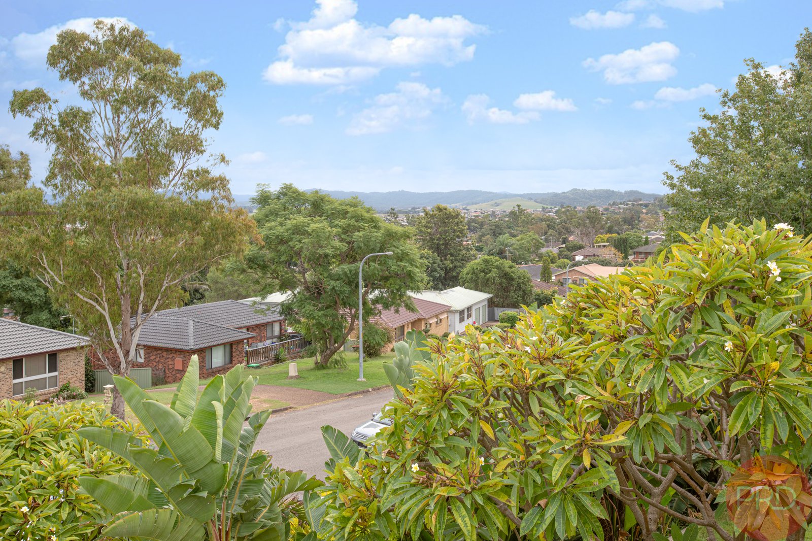 10 Clayton Crescent RUTHERFORD 3