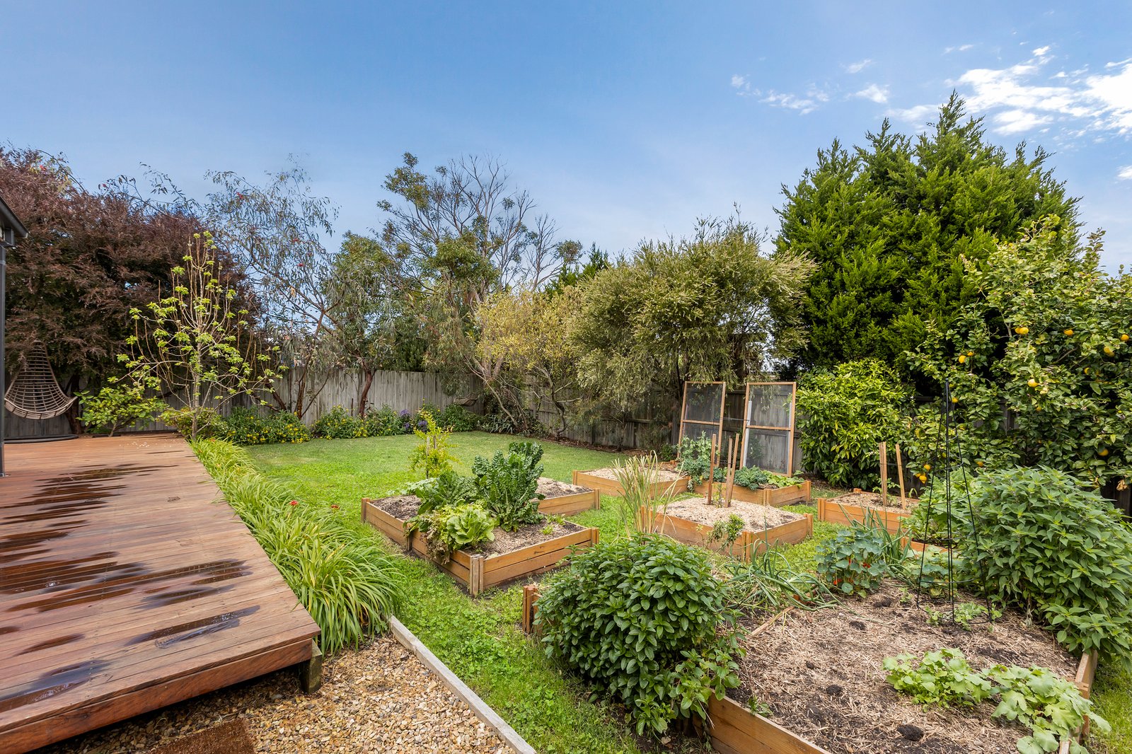 Real Estate and Property in 10 Cluney Street, Ocean Grove, VIC