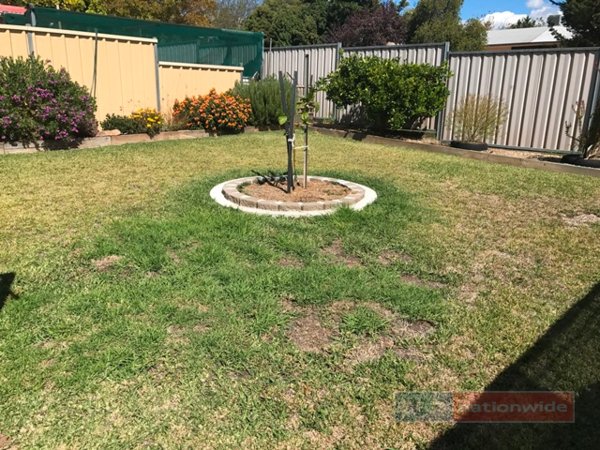 10 Colwell Street TUMUT 9