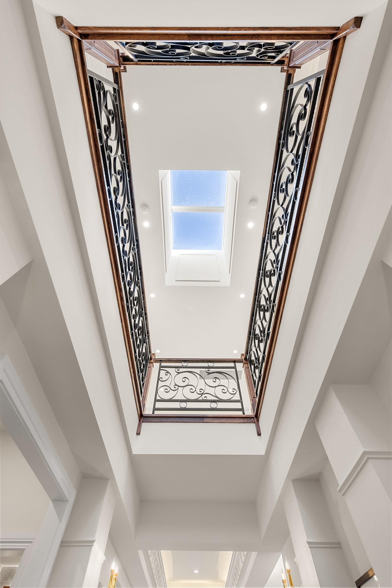 Gallery: 10 Daphne Street