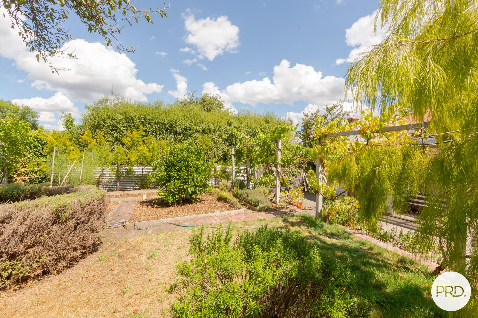 10 Doveton Crescent SOLDIERS HILL 22