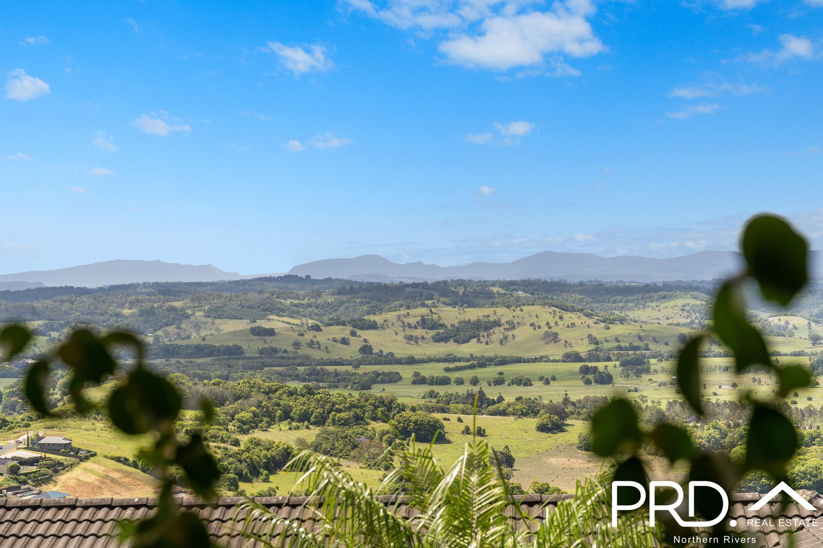 10 Dympna Crescent GOONELLABAH 26