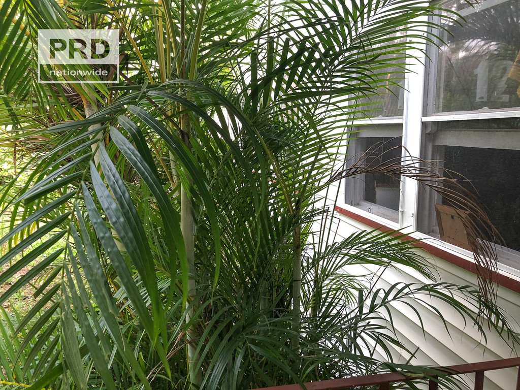 10 Edward Lane KYOGLE 9
