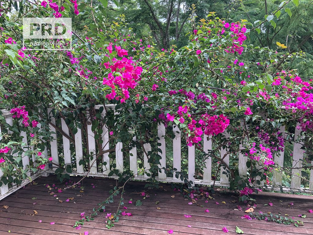 10 Edward Lane KYOGLE 11