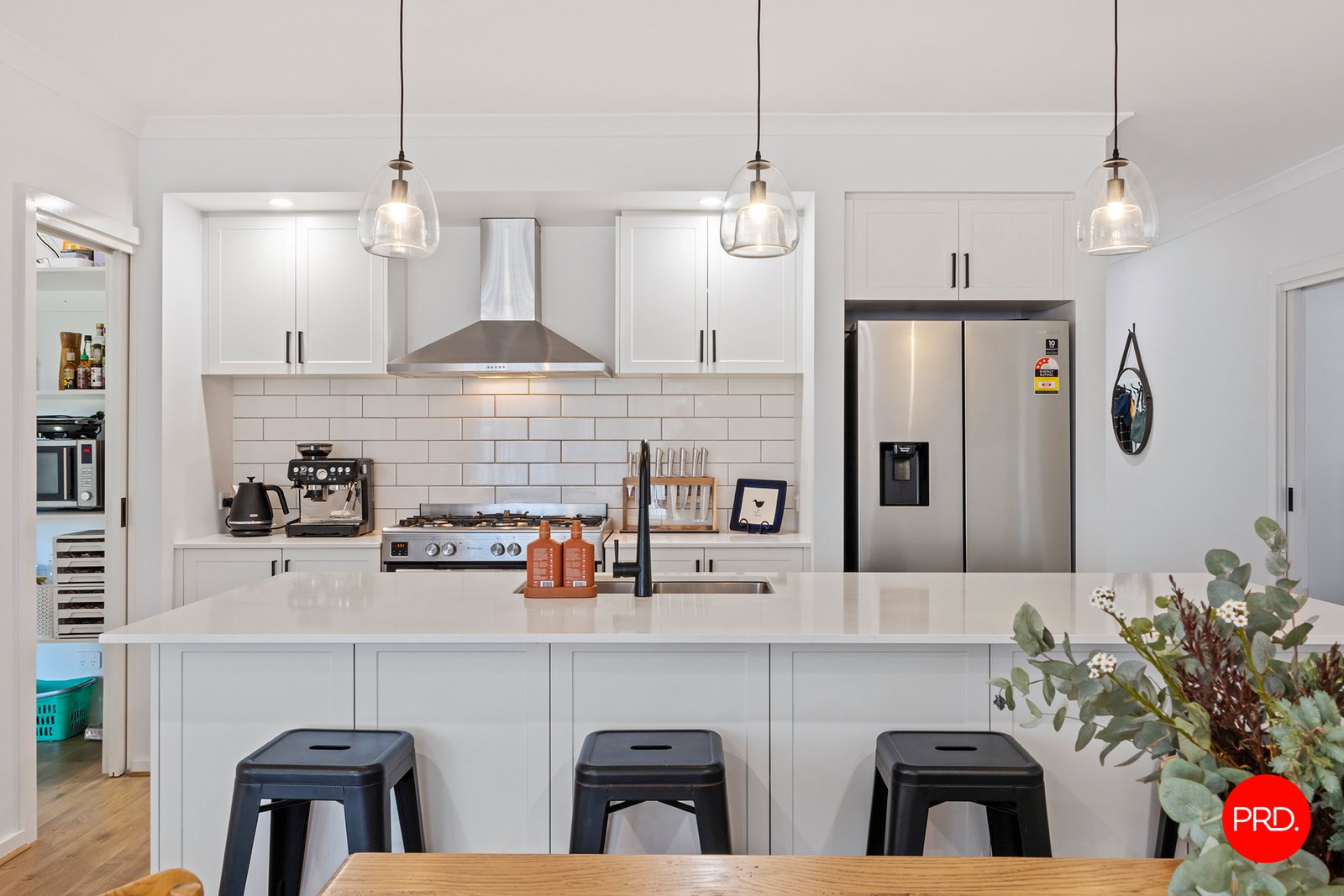 10 Eucalyptus Street JACKASS FLAT 6