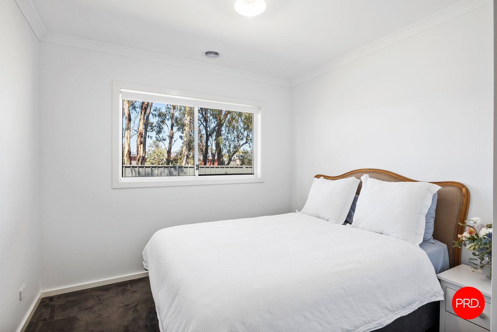 10 Eucalyptus Street JACKASS FLAT 10