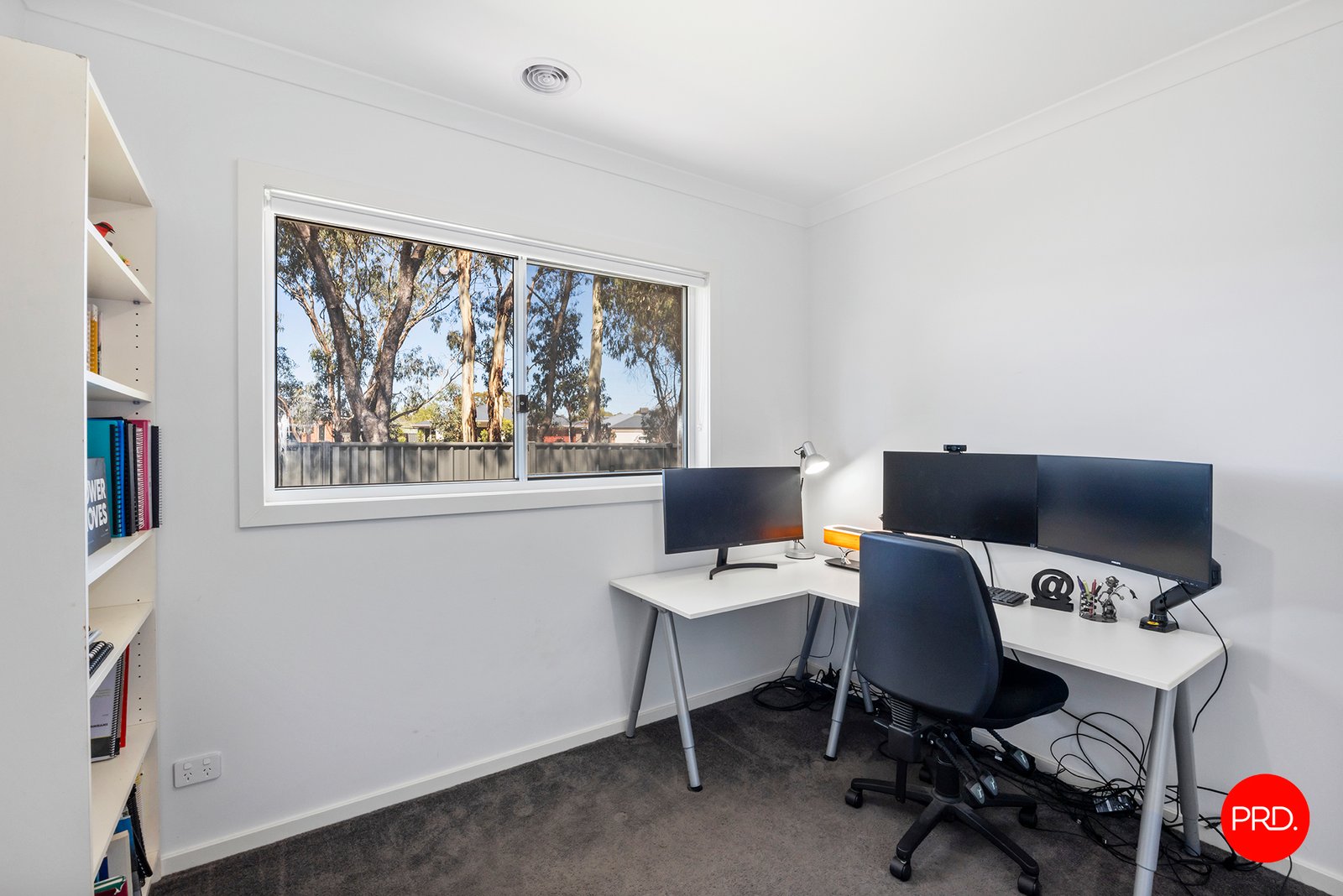 10 Eucalyptus Street JACKASS FLAT 12