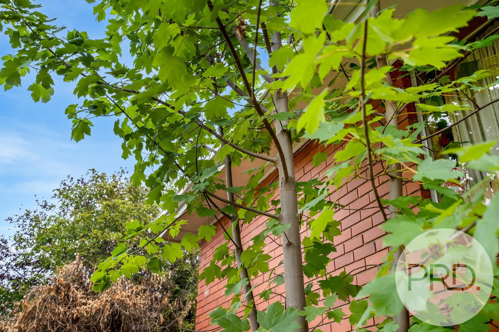 10 Faraday Street WEST HOBART 26