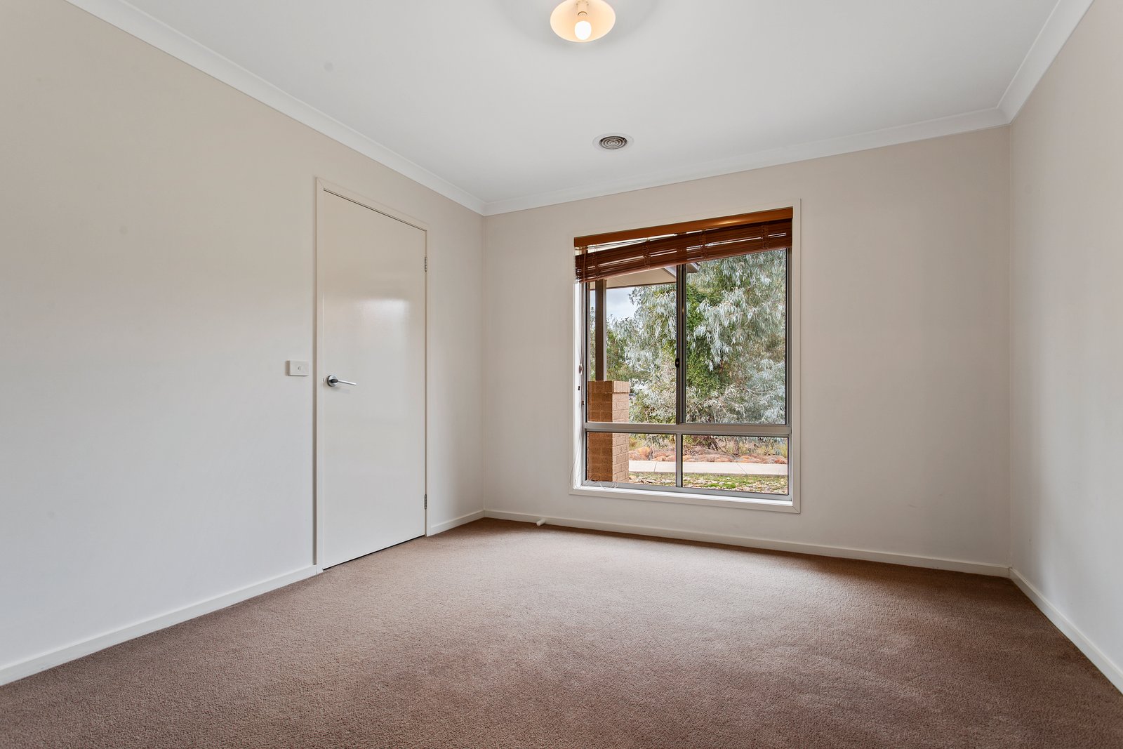 10 Fiddlers Lane JACKASS FLAT 10