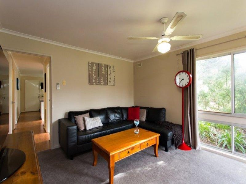 Gallery: 10 Flockhart Street